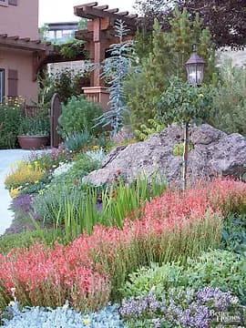 xeriscape