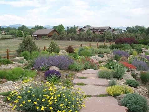 xeriscape-garden